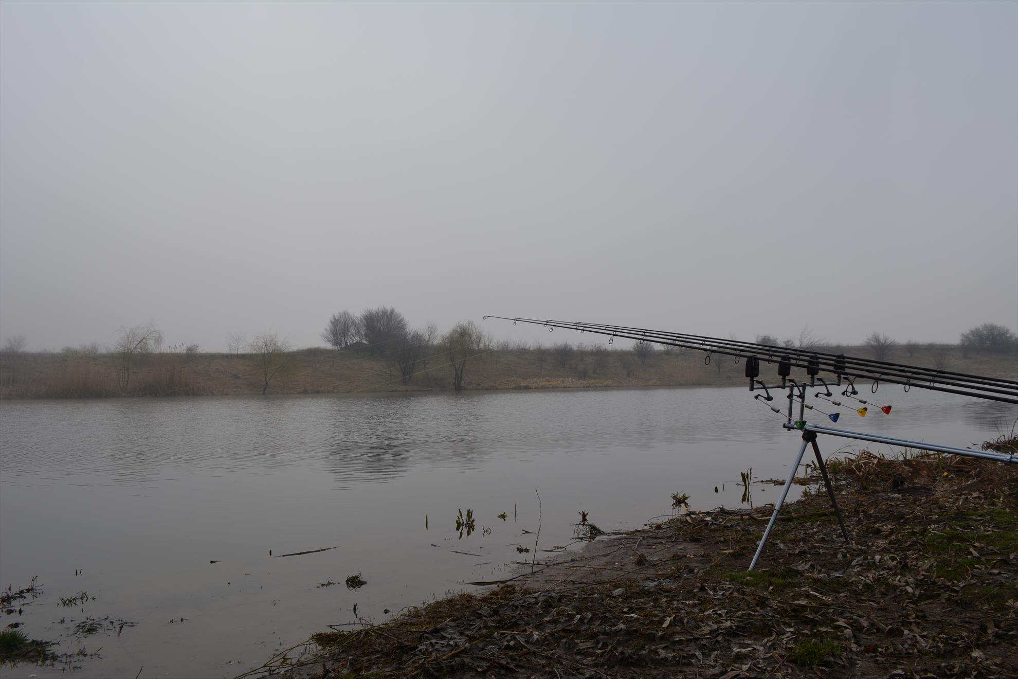 Paradisul verde Ostratu 13 martie 2015 - dsc0004.JPG